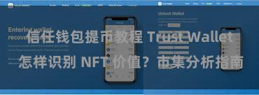 信任钱包提币教程 Trust Wallet 怎样识别 NFT 价值？市集分析指南