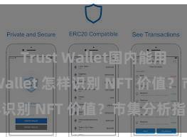 Trust Wallet国内能用吗 Trust Wallet 怎样识别 NFT 价值？市集分析指南